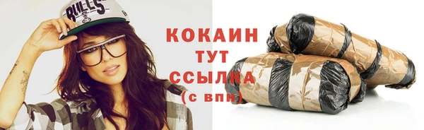 трава Магас