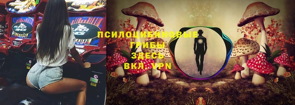 трава Магас