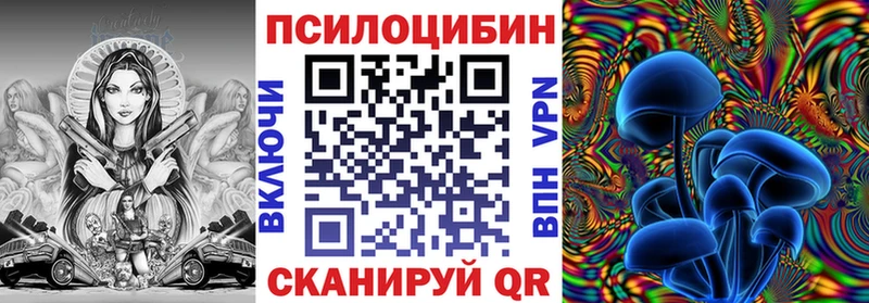 Галлюциногенные грибы Psilocybe  закладка  Урень 
